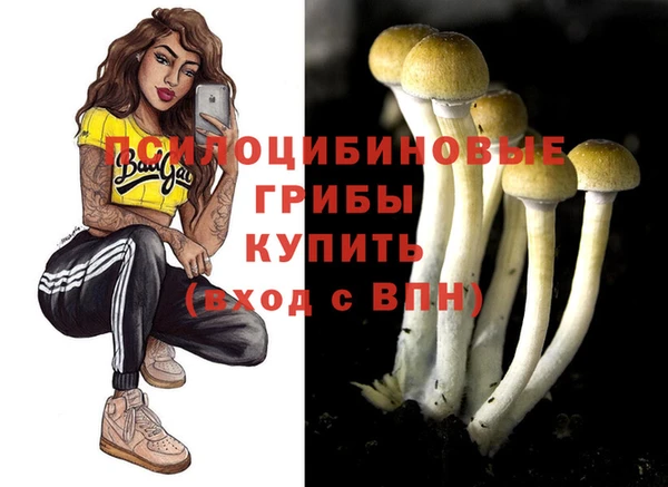 PSILOCYBIN Володарск