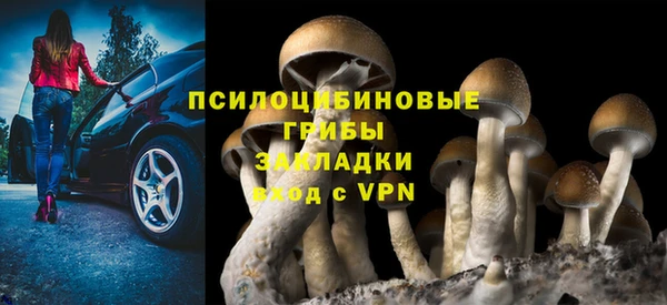 PSILOCYBIN Володарск